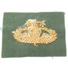 Taiwan- Master Parachute Wings Patch