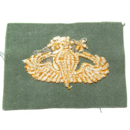 Taiwan- Master Parachute Wings Patch