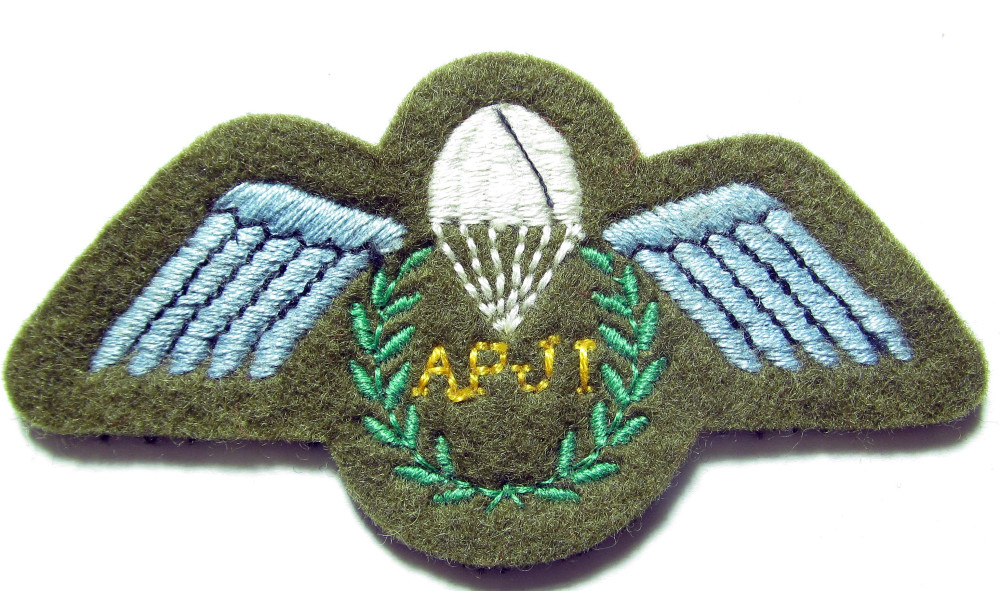 British Army Parachute Jump Instructor APJI Wings - imilitar