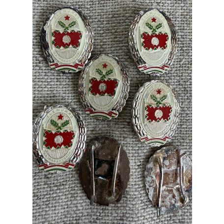 Hungarian Peoples Army Exemplary Squad Leader badge with Silver Wreath