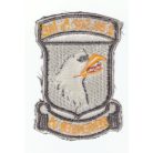 1980's US Army Airborne 2BN 502 a/b INF Remember Plane Crash PATCH