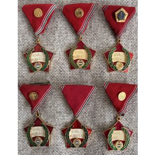   Hungarian Lot of 6 Excellent Work Medals with various ministerial ribbon devices