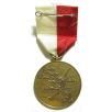 German Brandenburg Oderflut Flood Protection Medal 1997