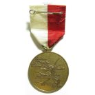 German Brandenburg Oderflut Flood Protection Medal 1997