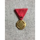 WW1 Austrian-Hungarian Civilian Jubilee Cross of 1908 / Franz Joseph