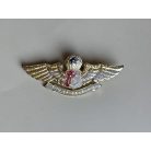 Indonesia Police Jump Master Parachute Wings Badge