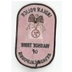 Indian Police Washoe Tribe of Nevada-California Patch