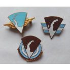 3pcs Argentine Air Force Antarctic Badges