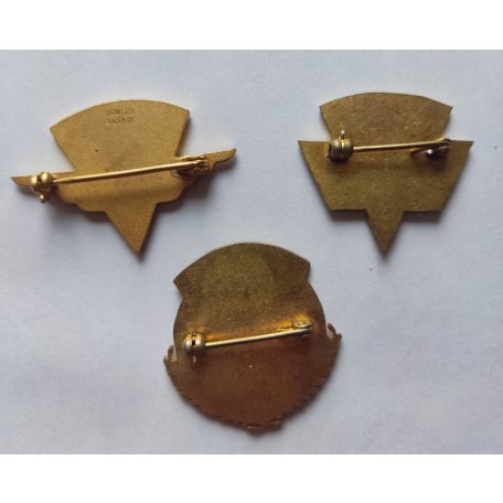 3pcs Argentine Air Force Antarctic Badges