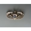 ROC Republic of China, Taiwan Airforce Paratrooper Badge