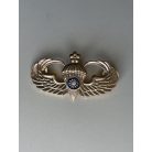 ROC Republic of China, Taiwan Airforce Paratrooper Badge