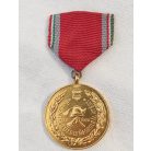 Hungarian Firefighter Service Medal XX. Years