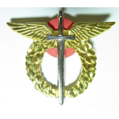 Czech Republic Pilot Badge (1st Class)