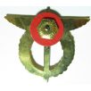 Czech Republic Pilot Badge (1st Class)