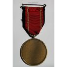 German Deployment Medal Albania AFOR