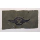 Argentine Military Airborne Parachute Wings Patch Green