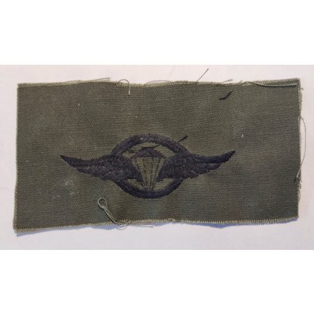 Argentine Military Airborne Parachute Wings Patch Green