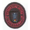   Hungen-Nonnenroth City Germany Freiwillige Feuerwehr/ Fire Department Patch