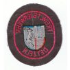   Detzeln City Germany Freiwillige Feuerwehr/ Fire Department Patch