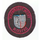 Detzeln City Germany Freiwillige Feuerwehr/ Fire Department Patch