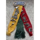 Scout: US 1960'S BSA Webelos badge - Cub Scout Den tricolor ribbons 14 merit pins