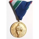 Hungarian Flood-prevention medal 1955 (Duna river)