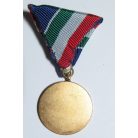 Hungarian Flood-prevention medal 1955 (Duna river)