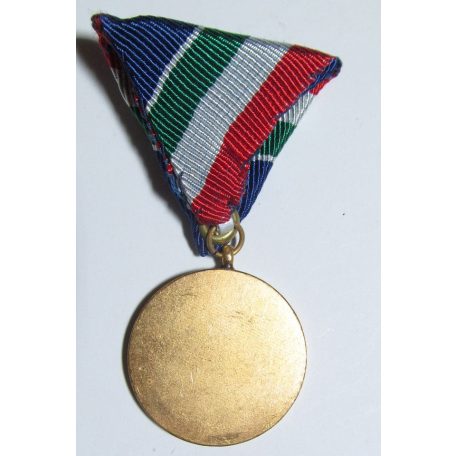Hungarian Flood-prevention medal 1955 (Duna river)