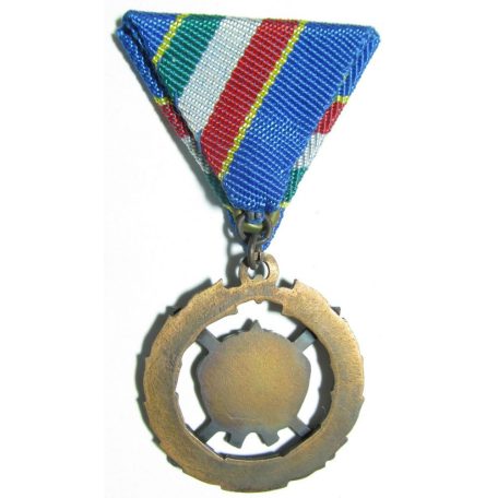 Hungarian Medal (Warsaw Pact) Brothers in Arms Medal, Bronze Grade
