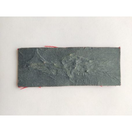 Unknown (Indonesian?) Parachutist Airborne Wings Badge heavy golden embrodiery Red