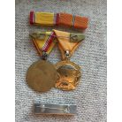 Hungarian mounted  Medal Pair with two types of ribbon bars 