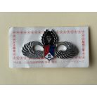 Republic of China, ROC Taiwan Army Airborne Parachute Wings Badge