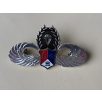   Republic of China, ROC Taiwan Army Airborne Parachute Wings Badge