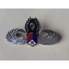 Republic of China, ROC Taiwan Army Airborne Parachute Wings Badge