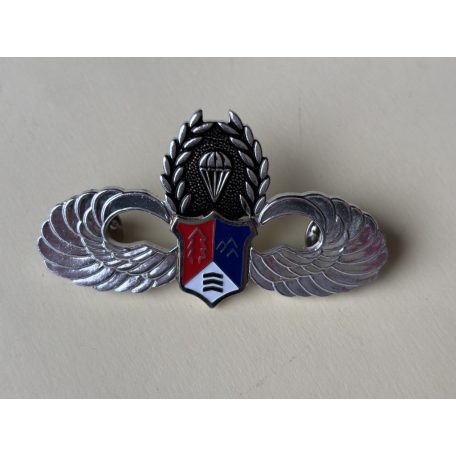 Republic of China, ROC Taiwan Army Airborne Parachute Wings Badge