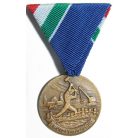 Hungarian Flood-prevention medal