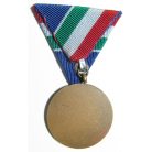 Hungarian Flood-prevention medal