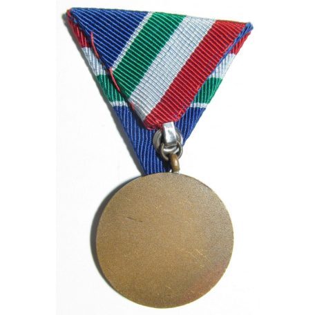 Hungarian Flood-prevention medal - imilitaria.unas.hu