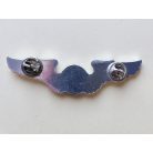 Taiwan- Basic Pilot Alu Silver Badge 