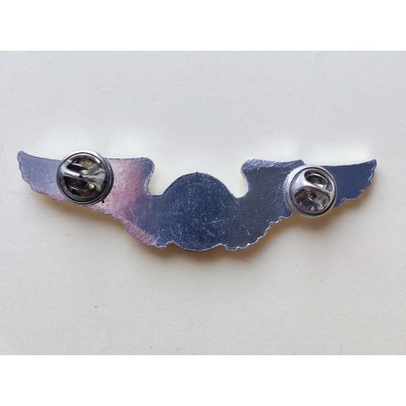 Taiwan- Basic Pilot Alu Silver Badge 