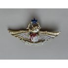 Indonesia Parachute Para Airborne "Free Fall Wings" Police Badge 
