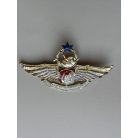 Indonesia Parachute Para Airborne "Free Fall Wings" Police Badge 