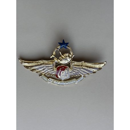 Indonesia Parachute Para Airborne "Free Fall Wings" Police Badge 