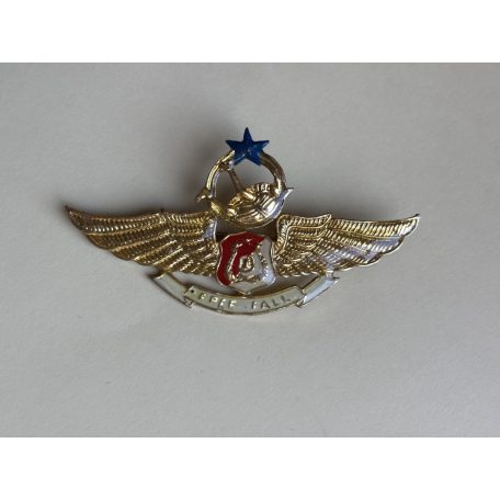 Indonesia Parachute Para Airborne "Free Fall Wings" Police Badge 