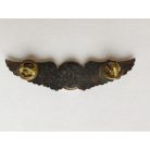 Taiwan- Navigator Pilot Wings Badge (Silver)