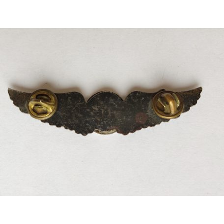 Taiwan- Navigator Pilot Wings Badge (Silver)