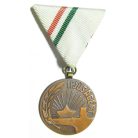 Hungarian For the Youth Merit Medal (2nd Type)