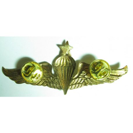 Indonesian Army Airborne Master Parachute Para Jump Wing Instructor 1 Combat