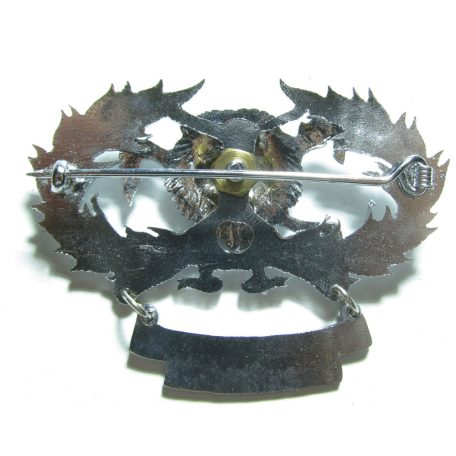 Malaysia Police Riot Control Badge