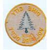 Minnesota Pine City Volunteer Fire Dept. Patch